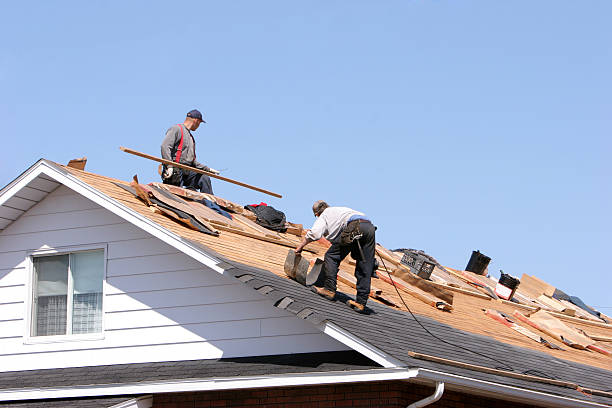 Best Roof Insulation Installation  in Itasca, TX